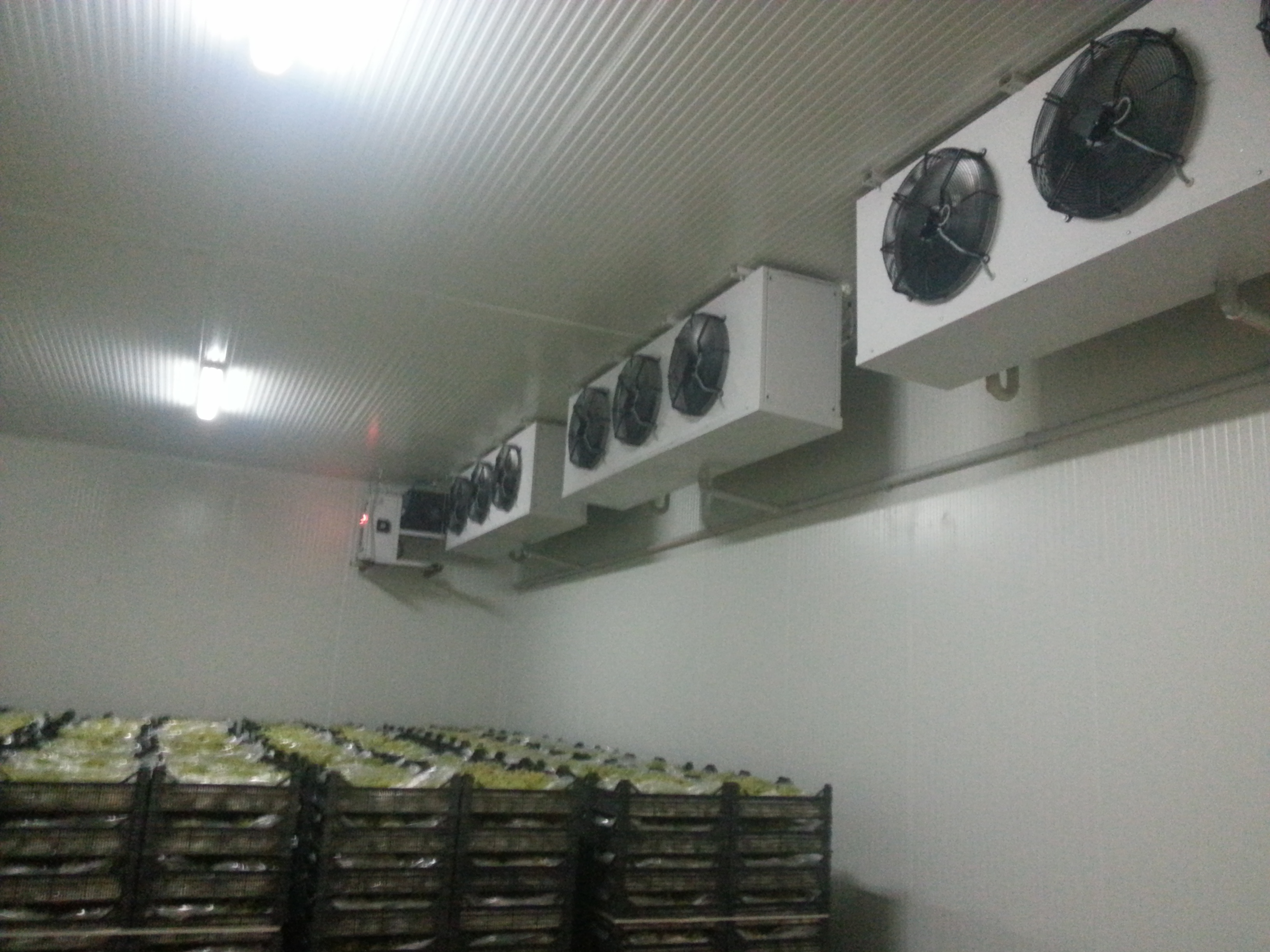 Ultrasonik Nemlendirme