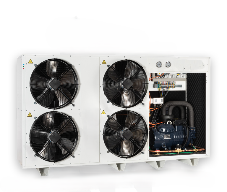 Şoklama Üniteleri ve Tünelleri